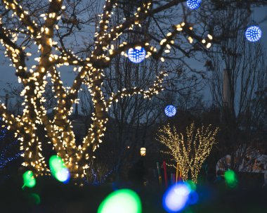 Parlak fenerlerin ve ağaçlardaki ışıkların yakın çekimi.