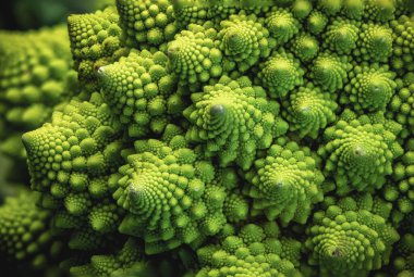 Romanesco brokolisine yakın çekim