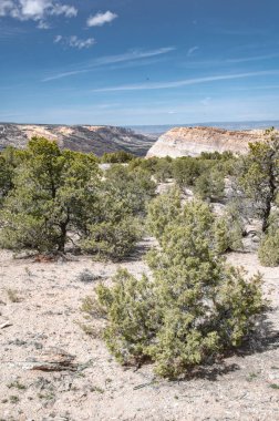 Zirvedeki ağaçlar bulutlu bir gökyüzüne karşı kayalık dağlarla çevrili.