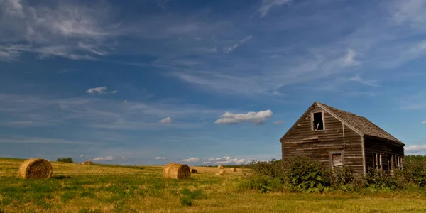 Panoramaaufnahme Eines Hölzernen Bauernhauses Auf Einem Feld Inmitten Von Gelbem — Stockfoto