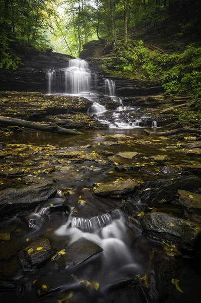 Les Cascades Pittoresques Dans Parc État Ricketts Glen Pennsylvanie — Photo