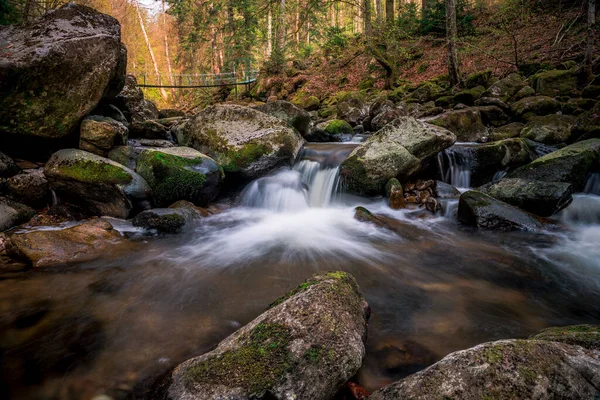 Vue Panoramique Une Rivière Coulant Dans Une Forêt Entourée Une — Photo