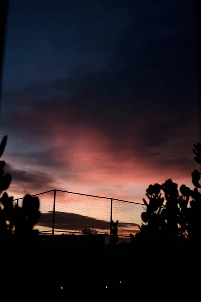 Eine Vertikale Aufnahme Eines Wunderschönen Sonnenuntergangshimmels Mit Zaun Und Baumsilhouetten — Stockfoto