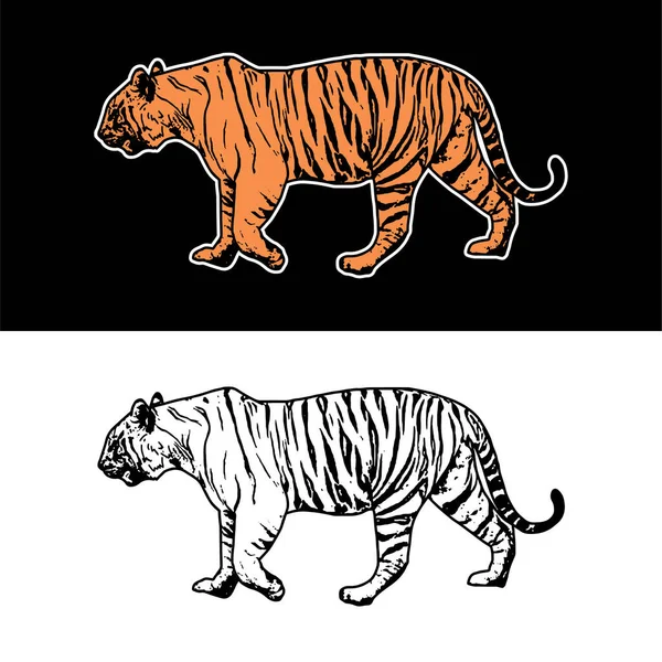 Wektor Zamiar Tygrysa Ilustracja Ręką Rysunek Styl Białym Czarnym Tle — Wektor stockowy