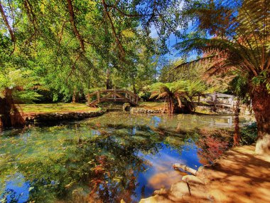 Manzaralı yeşil parkta göleti olan güzel bir manzara.