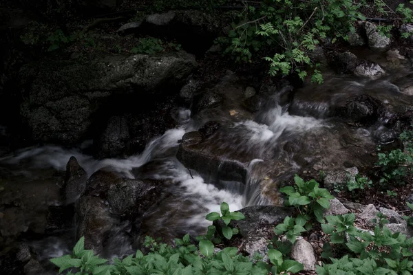흐르는 아름다운 폭포의 — 스톡 사진