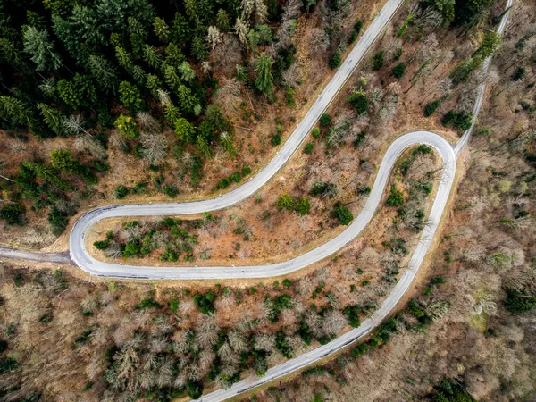 Une Vue Aérienne Une Longue Route Sinueuse Entourée Sapins — Photo