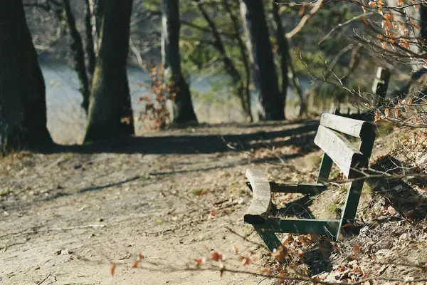 Broken Old Wooden Bench Park Trail — Stock Photo, Image
