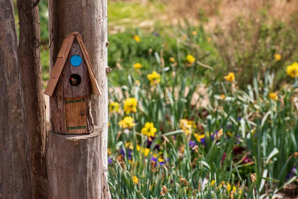 Una Birdhouse Rogers Botanical Gardens Oklahoma Stati Uniti — Foto Stock