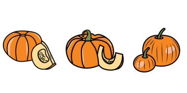 Kabak karalama grafik tasarımı. Sebzelerin renkli görüntüsü. Satır sanatının vektör illüstrasyonu.