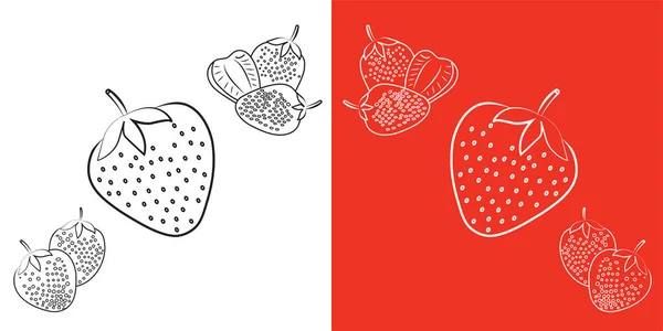 Erdbeer Vektorumriss Doodle Vektorskizze Illustration Auf Weißem Isolierten Hintergrund Für — Stockvektor