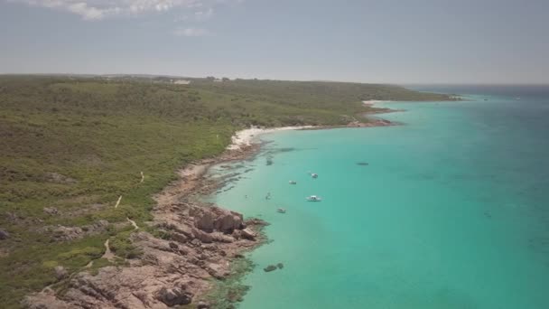Una Grabación Aérea Dron Paisaje Con Orilla Del Océano Hierba — Vídeos de Stock