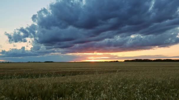 Sunset Timelapse Farmers Pasture Alberta Prairies Canada Cielo Azul Con — Vídeos de Stock