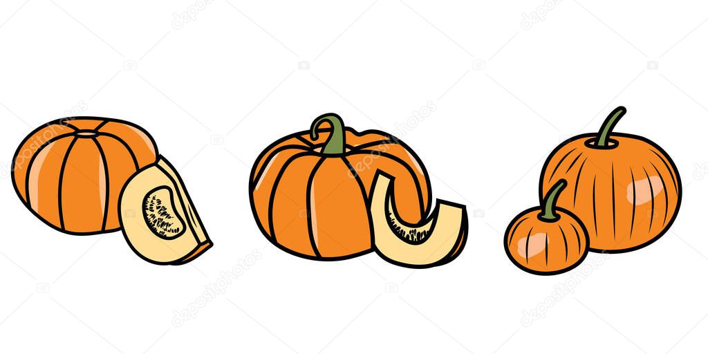 pumpkin doodle graphic design. colorful image of vegetables. Vector illustration of line art.