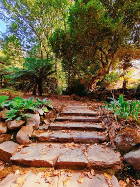 Parkta merdivenleri olan güzel bir manzara.