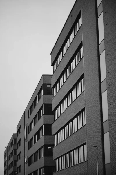 Grayscale Vertical Closeup Modern Office Buildings Business Garden Kolorowa Street — Stock Photo, Image
