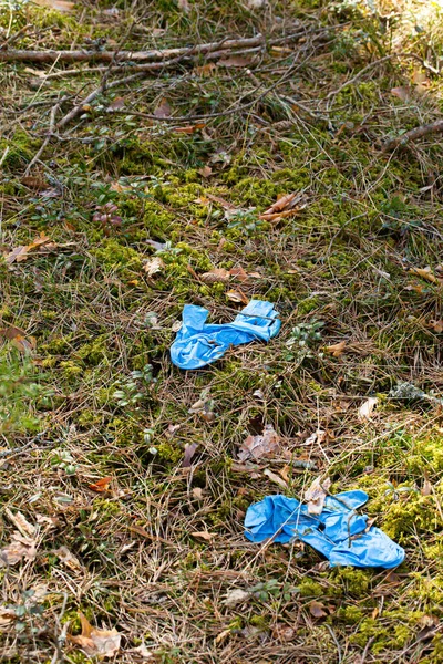 森の中のゴム手袋の閉鎖 — ストック写真