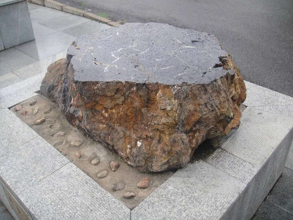 Madeira Agatizada Museu Geológico Benxi Chi — Fotografia de Stock