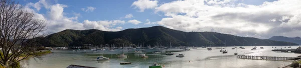 Une Vue Panoramique Une Chaîne Montagnes Nouvelle Zélande Avec Des — Photo