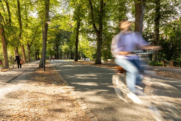 公園で自転車に乗る人 — ストック写真