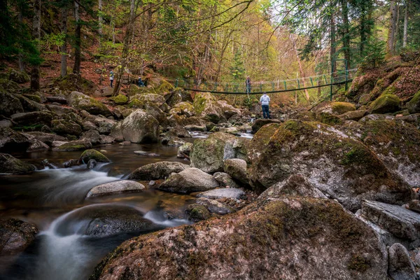 Ett Skogslandskap Med Fjällälv Och Gröna Mossstenar Bergsdal Bayerska Skogen — Stockfoto