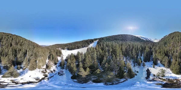 晴れた日に雪に覆われた緑の森の山の美しい低角度 — ストック写真