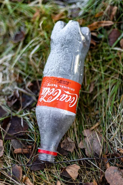 Pandangan Vertikal Atas Botol Coca Cola Dilempar Keluar Hutan — Stok Foto