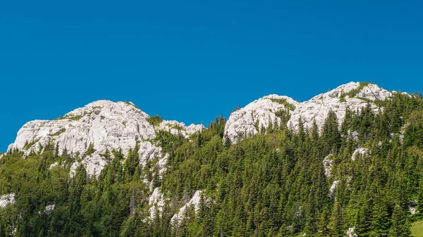 Die Malerische Landschaft Des Velebit Gebirges Kroatien — Stockfoto