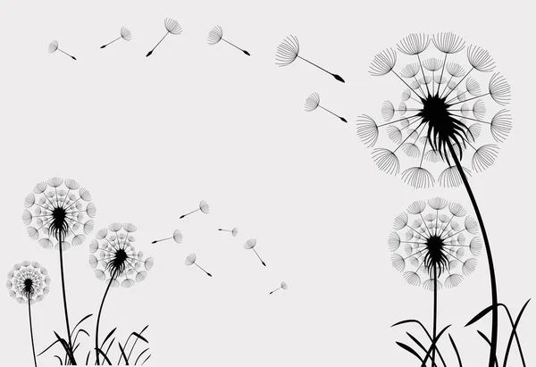 白背景音乐背景下的黑色蒲公英芽的矢量设计 — 图库矢量图片