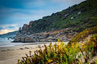 Whiskey Bay, Wilsons Promontory, Avustralya 'da kayalık bir sahilin manzarası.