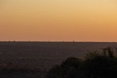 Güney Afrika 'da bir tarlanın üzerinde güzel bir turuncu esmer gökyüzü