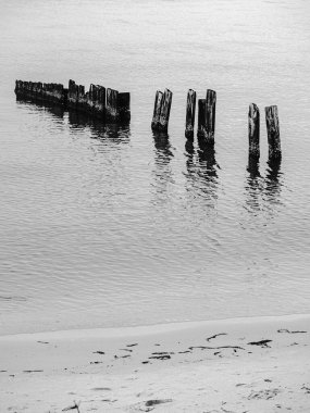 Sudaki tahta sütunların gri tonlu görüntüsü.