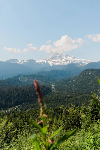 Vue Mont Garibaldi Colombie Britannique Depuis Une Prairie Alpine Printemps — Photo