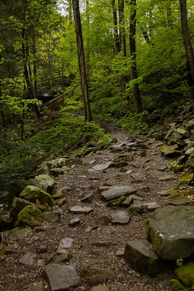 Sentier Forêt Rocheuse Dans Montagne Chattanooga Tennessee — Photo