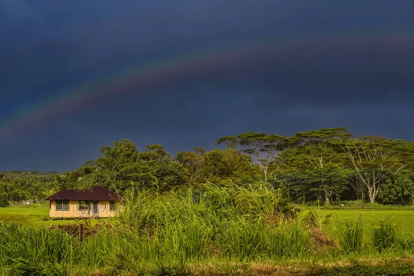 A RAINBOW BREAKING THROUGH DARK CLOUDS OVER A LUSH FIELD WITH A SMALL STRUCTURE ON KAUAI HAWAII