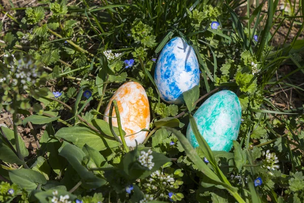 Een Close Van Kleurrijke Eieren Het Gras Een Park — Stockfoto