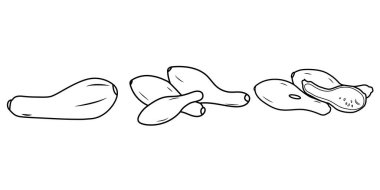 Crookneck karalamalarının düz vektörü beyaz arka planda izole edilmiş. Düz illüstrasyon simgesi.