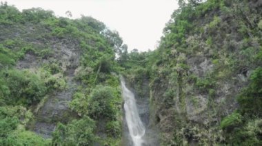 Tahiti 'deki tropik 