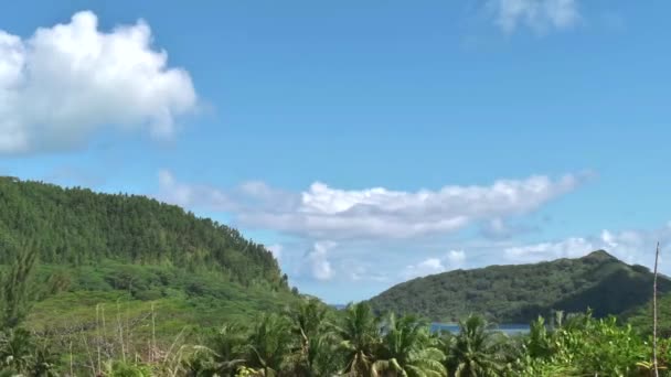Временной Взгляд Облака Проходящие Голубом Небе Французской Полинезии — стоковое видео