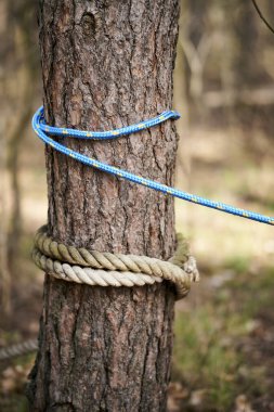 Arka planda iki ip olan bir ağacın gövdesinin dikey görüntüsü bulanık.