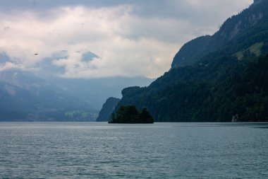 Güzel Brienzersee Gölü Interlaken, İsviçre ve Avrupa 'daki Alpler dağları ve ağaçlarla çevrilidir.