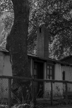 Fissure, Şili 'deki Cabildo Belediyesi' nde bir yüzyılın gri pulu.