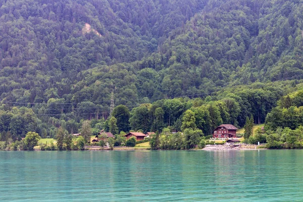 Casas Margem Lago Brienz Rodeado Por Vegetação Verde Interlaken Suíça — Fotografia de Stock