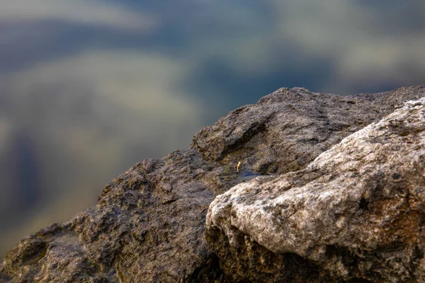 Een Close Van Een Aantal Bruine Rotsen Buurt Van Lake — Stockfoto