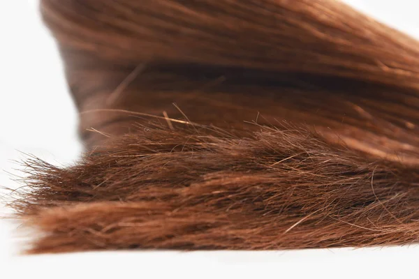 Beyaz Arka Planda Izole Edilmiş Güzel Yumuşak Sağlıklı Kahverengi Saçlı — Stok fotoğraf