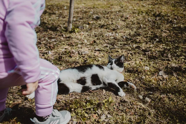 Closeup Shot Black White Cat Laying Ground Looking Kid Next — Stock Photo, Image