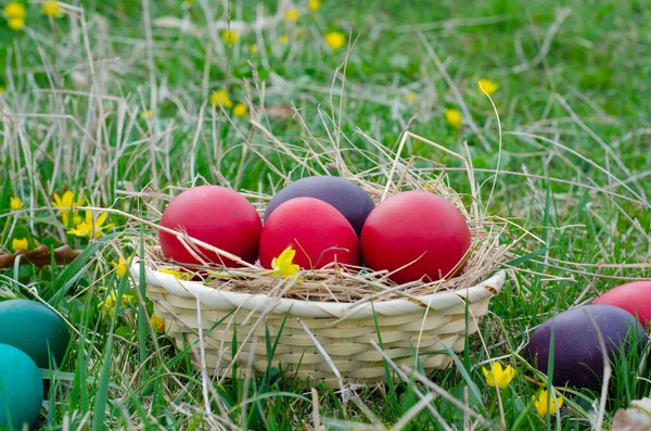 Güneşli Bir Günde Yeşil Çimlerde Paskalya Yumurtası Sepeti Baharda Çayırda — Stok fotoğraf