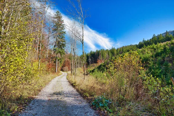 Une Vue Panoramique Sentier Dans Les Montagnes Salzkammergut Automne Par — Photo