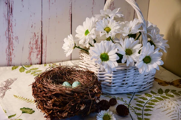 Closeup Basket White Gerberas Next Bird Nest Eggs — Stock Photo, Image