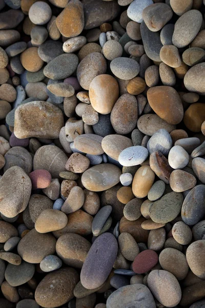 美国加利福尼亚州卵石滩上的一块小石块的垂直拍摄 — 图库照片